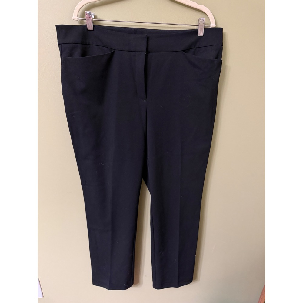 Ann Taylor Factory Blank Dress Pants Trousers Size 16 Hook Flat Front Inseam 30"